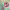 https://res.cloudinary.com/billionhands/image/upload/v1777562012/items/sauevmp7v3qteqzuehsy.webp-2cover