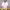 https://res.cloudinary.com/billionhands/image/upload/v1777563618/items/umn9ifwydu2my5enayvx.jpg-1cover