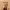 https://res.cloudinary.com/billionhands/image/upload/v1777563621/items/azqyn5oxjeogfyjpxbaj.jpg-0cover