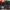 https://res.cloudinary.com/billionhands/image/upload/v1777564693/items/k1f9popgx5dcvjcwrlht.png-0cover