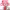 https://res.cloudinary.com/billionhands/image/upload/v1777565045/items/boqalcdeetjzngnkb1ix.jpg-3cover