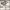 https://res.cloudinary.com/billionhands/image/upload/v1777568156/items/vkkyjhkyeqngpneedtp0.webp-3cover