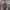 https://res.cloudinary.com/billionhands/image/upload/v1777570434/items/jvlzj904yhwijbfgkr47.jpg-2cover