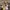 https://res.cloudinary.com/billionhands/image/upload/v1777570445/items/sfv5vhy8gkfe8ohkmvrs.webp-0cover