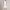 https://res.cloudinary.com/billionhands/image/upload/v1777570597/items/aggopgxxj7niteewvhls.jpg-0cover