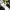 https://res.cloudinary.com/billionhands/image/upload/v1777571502/items/odcnptkypkfpzgu0etly.webp-3cover