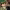 https://res.cloudinary.com/billionhands/image/upload/v1777571513/items/vsiyatcwrfinbxt5ftw6.avif-2cover