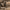https://res.cloudinary.com/billionhands/image/upload/v1777572201/items/cant0yin6fcfvfjixggw.jpg-3cover