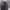 https://res.cloudinary.com/billionhands/image/upload/v1777572210/items/xcrg31dnol7ewew5nzo7.jpg-0cover