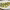 https://res.cloudinary.com/billionhands/image/upload/v1777573921/items/jvddcmjkbygk26g4znu8.jpg-2cover