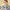 Pati Jinich cover