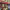 https://res.cloudinary.com/billionhands/image/upload/v1777578050/items/cgqmaxmzyaarwtwd10cy.webp-0cover