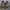 https://res.cloudinary.com/billionhands/image/upload/v1777580203/items/b2o5psmnndlwclmp6qed.jpg-2cover