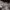 https://res.cloudinary.com/billionhands/image/upload/v1777580215/items/dimpslfokcb2sk6ezxcs.webp-1cover
