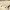 https://res.cloudinary.com/billionhands/image/upload/v1777581653/items/u8badrqtfxi2swcugceg.jpg-0cover