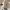 https://res.cloudinary.com/billionhands/image/upload/v1777584281/items/o7pn4egkk1alht1yv6xr.jpg-1cover