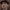 https://res.cloudinary.com/billionhands/image/upload/v1777585588/items/cmx7mesvbjxep7vljuou.webp-2cover
