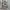 https://res.cloudinary.com/billionhands/image/upload/v1777586834/items/zrtmi9y3oxdq1ylzrthz.jpg-2cover