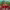 https://res.cloudinary.com/billionhands/image/upload/v1777596458/items/wb9ndmaq1t9qqwmfwbdl.jpg-2cover