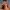 https://res.cloudinary.com/billionhands/image/upload/v1777599865/items/fycjzymwxcxcrjwcca8n.jpg-3cover