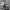Charles Lloyd – The Sky Will Still Be There Tomorrow (2024) cover