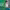 https://res.cloudinary.com/billionhands/image/upload/v1777612082/items/bthspwbnfbfb9bfuyucq.png-1cover