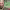 https://res.cloudinary.com/billionhands/image/upload/v1777617094/items/cxmm2s8g4rlthrgyx7si.webp-3cover