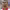 https://res.cloudinary.com/billionhands/image/upload/v1777619958/items/rnmvp1actujvo5m994vk.jpg-1cover