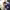https://res.cloudinary.com/billionhands/image/upload/v1777622247/items/xyfat4tquw8qfvk8qvfj.jpg-1cover