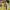 https://res.cloudinary.com/billionhands/image/upload/v1777622249/items/lwqtixu2nyn6mp56j7nj.jpg-1cover