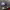 https://res.cloudinary.com/billionhands/image/upload/v1777623000/items/nmx3mrbqpkfdyp5gdpnr.jpg-3cover