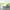 https://res.cloudinary.com/billionhands/image/upload/v1777624944/items/ecualpmo8xvbznbuqdal.jpg-0cover