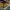 https://res.cloudinary.com/billionhands/image/upload/v1777625662/items/lhbxawx6wrmrcewncbkq.jpg-3cover