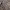 https://res.cloudinary.com/billionhands/image/upload/v1777628995/items/qtm0thbr92hti1nhiylb.jpg-0cover