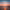 https://res.cloudinary.com/billionhands/image/upload/v1777629131/items/u24dfzit9yneaiqkwcdf.jpg-1cover