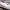 https://res.cloudinary.com/billionhands/image/upload/v1777633345/items/csmeitquv46uhki9rq4i.jpg-2cover