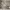 https://res.cloudinary.com/billionhands/image/upload/v1777643277/items/ghdyzqyshgpllmkffyol.webp-2cover