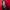 Sarah Koenig cover
