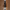 https://res.cloudinary.com/billionhands/image/upload/v1777643701/items/qr1ipa8lmlz2f8oysncy.webp-3cover