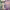 https://res.cloudinary.com/billionhands/image/upload/v1777644957/items/ao7tpr1dcdphgxth0wn9.jpg-1cover