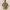 https://res.cloudinary.com/billionhands/image/upload/v1777647783/items/ouhc8jsmcieek4zd0rse.webp-3cover