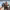 Mount & Blade II: Bannerlord (2022) cover