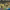 https://res.cloudinary.com/billionhands/image/upload/v1777648032/items/frheyhb9uvdhkagecbh1.jpg-0cover