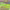 https://res.cloudinary.com/billionhands/image/upload/v1777648165/items/x94ipcxyer9tfdcza3mj.jpg-2cover