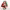 https://res.cloudinary.com/billionhands/image/upload/v1777649437/items/suepdg8binrdjzspykdh.jpg-3cover