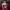https://res.cloudinary.com/billionhands/image/upload/v1777651739/items/xoagoxgwkcdejtpwzgif.jpg-1cover