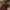 https://res.cloudinary.com/billionhands/image/upload/v1777657337/items/tnb0vnlf9olwwgx0hyru.webp-3cover