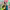 https://res.cloudinary.com/billionhands/image/upload/v1777657990/items/k2ymamnwwdiqparyr0j6.webp-2cover