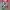 https://res.cloudinary.com/billionhands/image/upload/v1777657992/items/xlzj7phtjxpklfmiad5d.jpg-0cover