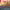 https://res.cloudinary.com/billionhands/image/upload/v1777657996/items/ixwnqxusmbghc0wcuuey.jpg-3cover